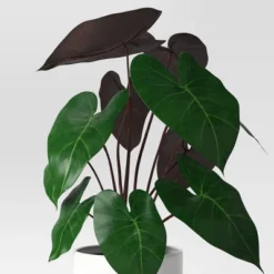 Dasheen Leaf Potted Artificial Plant - Room Essentials™ -Room Essentials GUEST 0b38a01b 7fcc 4bd1 a527 62c0b45e618b