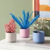 3pk 8.86" Succulent Artificial Plants Multicolor - Room Essentials™ 2 3pk 8.86" Succulent Artificial Plants Multicolor - Room Essentials™ -Room Essentials GUEST 2e885e3e c0ac 4e0d 877f ef2c6841e00e
