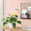 Pothos Artificial Plant In White Pot - Room Essentials™ -Room Essentials GUEST 398504fe e2e5 4880 ab16 63b7557240d4