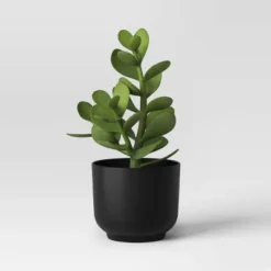 Succulent Artificial In Black Pot - Room Essentials™ -Room Essentials GUEST 39c4aa68 47f1 486e 8e41 5902428fe6c1