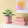2pk Magnetic Lidded Decorative Boxes Pink - Room Essentials™