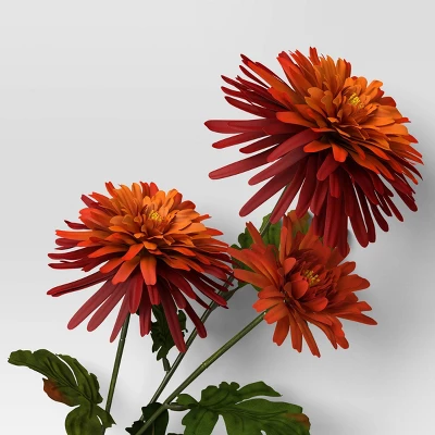 Orange Daisy Stem - Room Essentials™ 4 Orange Daisy Stem - Room Essentials™ - Image 2