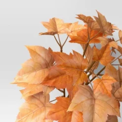 Maple Leaf Stem - Room Essentials™ 5 Maple Leaf Stem - Room Essentials™ -Room Essentials GUEST 63b7f1c5 e2f3 4843 9c04 083834110d44