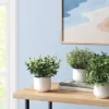 Herb Artificial Plant In White Pot - Room Essentials™ -Room Essentials GUEST 6638dbfa e8af 4310 ab49 27c5c96c2788