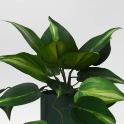 3pk 11.42" Pothos Artificial Plants - Room Essentials™ -Room Essentials GUEST 70a5b5ef d609 408c 9e57 eac60c087523