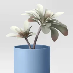 3pk 8.86" Succulent Artificial Plants Multicolor - Room Essentials™ -Room Essentials GUEST 713a3c74 4a66 4731 bccf 7c13c81b2f01