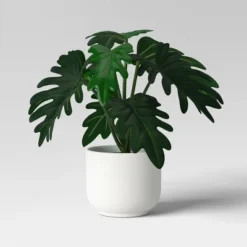 Core Plant Multipack In White Pot - Room Essentials™ -Room Essentials GUEST 87daa1fd 2e72 41a8 be61 554c95f53ec4