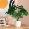 8"x9" Monstera Artificial Plant - Room Essentials™ 2 8"x9" Monstera Artificial Plant - Room Essentials™ -Room Essentials GUEST 888d41f0 4a82 4bff aa8f b7f6b00320e7