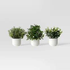 Herb Artificial Plant In White Pot - Room Essentials™ -Room Essentials GUEST 8f8cad37 de5b 41b2 926d 65320c060021