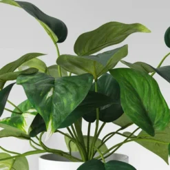 Pothos Artificial Plant In White Pot - Room Essentials™ 6 Pothos Artificial Plant In White Pot - Room Essentials™ -Room Essentials GUEST 9df337d8 e5f8 4670 a71b 8c475b6448b8