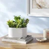 Succulent Arrangement In Long White Pot - Room Essentials™ -Room Essentials GUEST cf94ab3b c7fa 4739 9eac c316a3823e4f