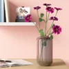 Glass Pill Vase - Room Essentials™ 1 Glass Pill Vase - Room Essentials™ -Room Essentials GUEST d862797e 750a 46c7 8568 9dd65731c21a