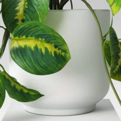 Trailing Prayer Artificial Plant - Room Essentials™ 7 Trailing Prayer Artificial Plant - Room Essentials™ -Room Essentials GUEST d8ed9869 ac8b 4597 9abc cafd2f3469ed