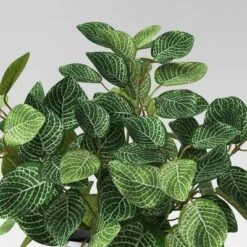 Mosaic Artificial Leaf In White Pot - Room Essentials™ 6 Mosaic Artificial Leaf In White Pot - Room Essentials™ -Room Essentials GUEST eff95394 7778 4a1f b32c 7a27066f6eb5