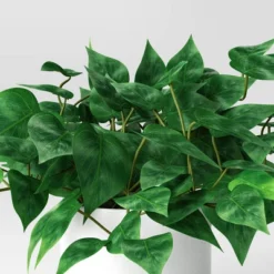 Pothos Potted Artificial Plant - Room Essentials™ -Room Essentials GUEST f29d1dd8 f76c 444f 8a3d 148d5b7040a2